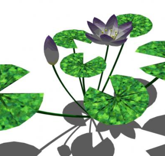 简易荷花紫色睡莲SU模型下载_sketchup草图大师SKP模型