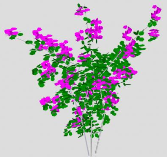 紫色轻质花卉灌木SU模型下载_sketchup草图大师SKP模型