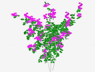 紫色轻质花卉灌木SU模型下载_sketchup草图大师SKP模型