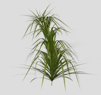 日常观赏灌木SU模型下载_sketchup草图大师SKP模型