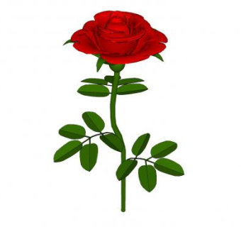 一枝红玫瑰SU模型下载_sketchup草图大师SKP模型