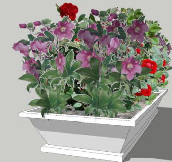 庭院花坛花卉种植SU模型下载_sketchup草图大师SKP模型