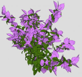 紫色花草灌木SU模型下载_sketchup草图大师SKP模型