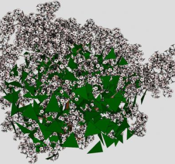溲疏属开花植物SU模型下载_sketchup草图大师SKP模型