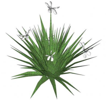 白色花草观赏植物SU模型下载_sketchup草图大师SKP模型