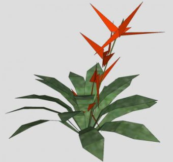 凤梨科开花植物SU模型下载_sketchup草图大师SKP模型