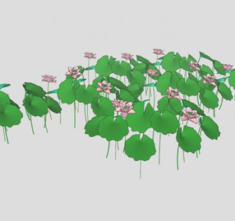 一片莲花荷花植物SU模型下载_sketchup草图大师SKP模型