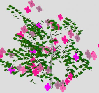 开花花叶灌木SU模型下载_sketchup草图大师SKP模型