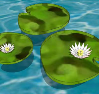 水上睡莲莲叶植物SU模型下载_sketchup草图大师SKP模型