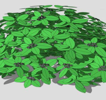 开花观叶灌木丛SU模型下载_sketchup草图大师SKP模型