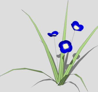 蓝色的花SU模型下载_sketchup草图大师SKP模型