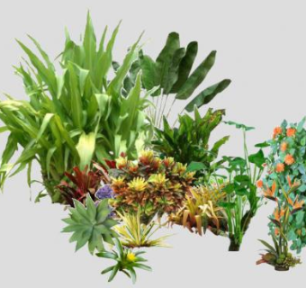 2D花木灌木植物组SU模型下载_sketchup草图大师SKP模型