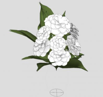 白花花卉植物SU模型下载_sketchup草图大师SKP模型