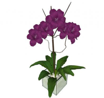 紫色观赏花卉盆栽SU模型下载_sketchup草图大师SKP模型