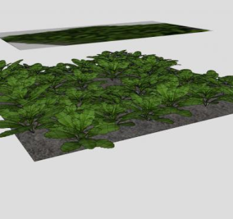 观赏地被植物SU模型下载_sketchup草图大师SKP模型