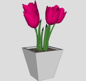 粉色郁金香观赏盆栽SU模型下载_sketchup草图大师SKP模型
