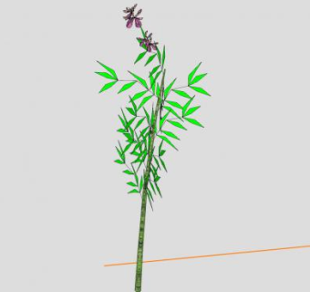 兰竹观赏植物SU模型下载_sketchup草图大师SKP模型
