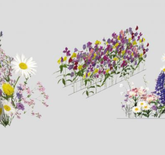 2D什锦花卉系列SU模型下载_sketchup草图大师SKP模型
