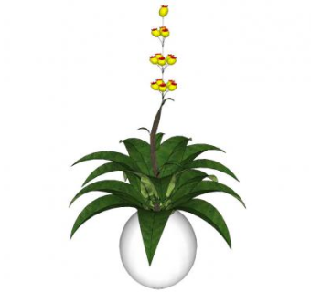 花瓶观赏植株SU模型下载_sketchup草图大师SKP模型