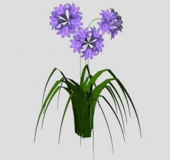 紫色花卉观赏植物SU模型下载_sketchup草图大师SKP模型