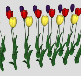 三种颜色的郁金香SU模型下载_sketchup草图大师SKP模型