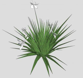 白色花卉植株SU模型下载_sketchup草图大师SKP模型