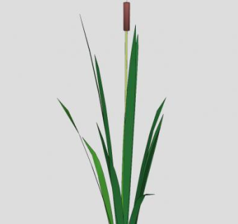单一的芦苇植物SU模型下载_sketchup草图大师SKP模型