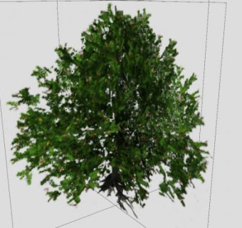 红树林树木SU模型下载_sketchup草图大师SKP模型