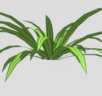 热带叶植物SU模型下载_sketchup草图大师SKP模型