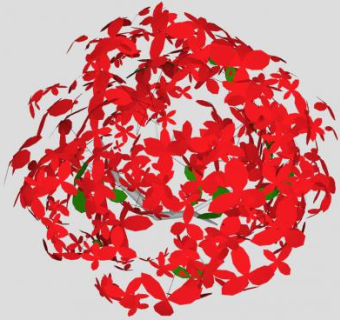 红色花叶灌木SU模型下载_sketchup草图大师SKP模型