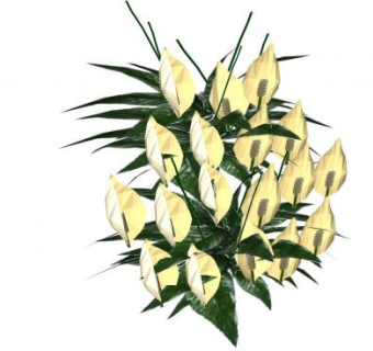 白色简易马蹄莲花卉植物SU模型下载_sketchup草图大师SKP模型