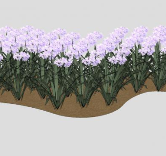 石蒜科百子莲属植物SU模型下载_sketchup草图大师SKP模型