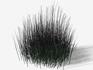 3D<em>草丛</em>植物SU模型下载_sketchup草图大师SKP模型