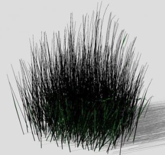 3D草丛植物SU模型下载_sketchup草图大师SKP模型