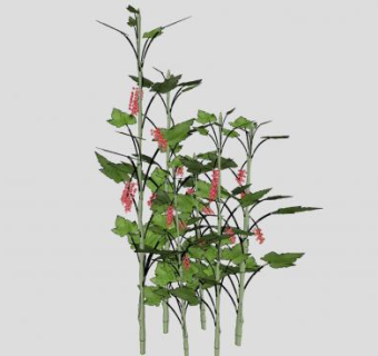 醋栗树植物SU模型下载_sketchup草图大师SKP模型