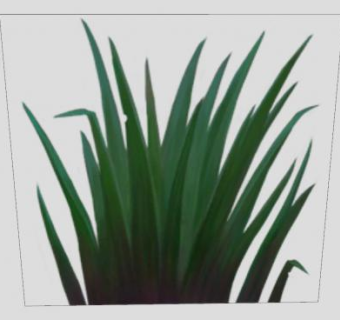2D平面青草SU模型下载_sketchup草图大师SKP模型