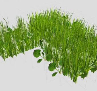 天然草本植物SU模型下载_sketchup草图大师SKP模型