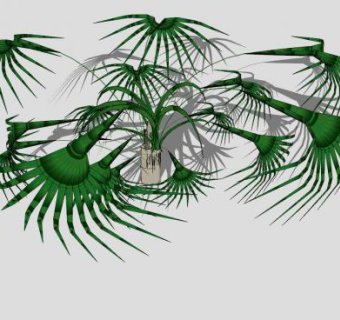 棕榈属简易植物SU模型下载_sketchup草图大师SKP模型