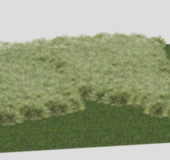 大片草地SU模型下载_sketchup草图大师SKP模型