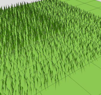 稀疏的青草植物SU模型下载_sketchup草图大师SKP模型