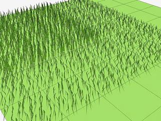 稀疏的青草植物SU模型下载_sketchup草图大师SKP模型