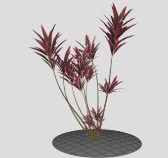 朱蕉属观赏灌木SU模型下载_sketchup草图大师SKP模型