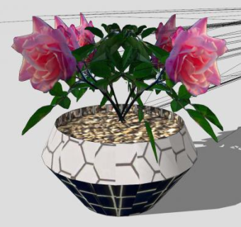 现代花盆观赏月季花SU模型下载_sketchup草图大师SKP模型