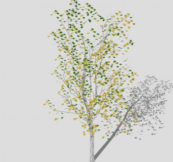 黄绿树叶阔叶树SU模型下载_sketchup草图大师SKP模型