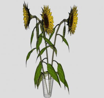 玻璃水瓶和向日葵SU模型下载_sketchup草图大师SKP模型