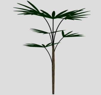 简易棕榈树SU模型下载_sketchup草图大师SKP模型