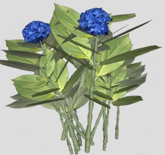 3D蓝色绣球花植物SU模型下载_sketchup草图大师SKP模型