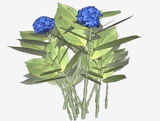 3D蓝色绣球花植物SU模型下载_sketchup草图大师SKP模型