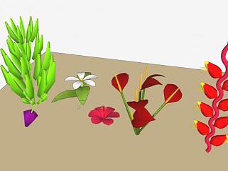 热带花卉植物组SU模型下载_sketchup草图大师SKP模型