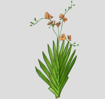射干属植物SU模型下载_sketchup草图大师SKP模型